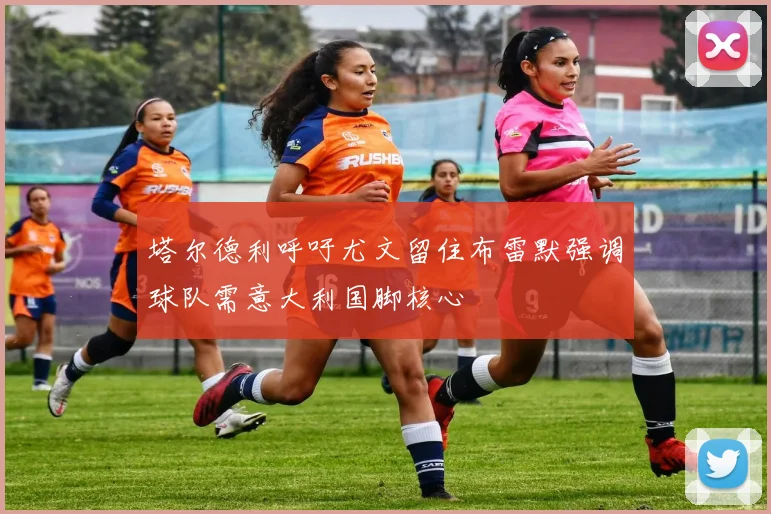 塔尔德利呼吁尤文留住布雷默强调球队需意大利国脚核心
