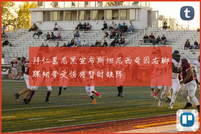 拜仁慕尼黑宣布斯坦尼西奇因右脚踝韧带受伤将暂时缺阵
