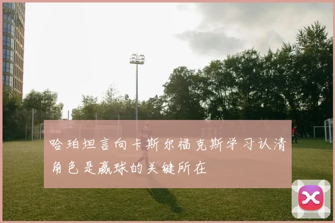 哈珀坦言向卡斯尔福克斯学习认清角色是赢球的关键所在